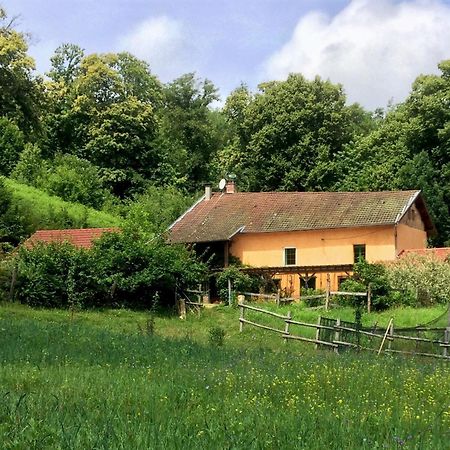 Bed and Breakfast Le Mas De Planaise Saint-Jean-d'Avelanne Exterior foto