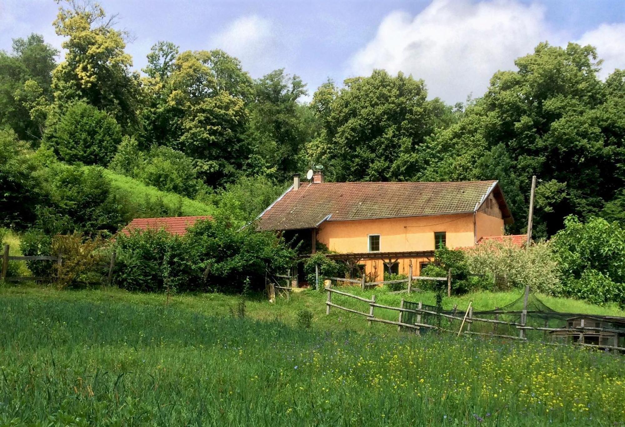 Bed and Breakfast Le Mas De Planaise Saint-Jean-d'Avelanne Exterior foto